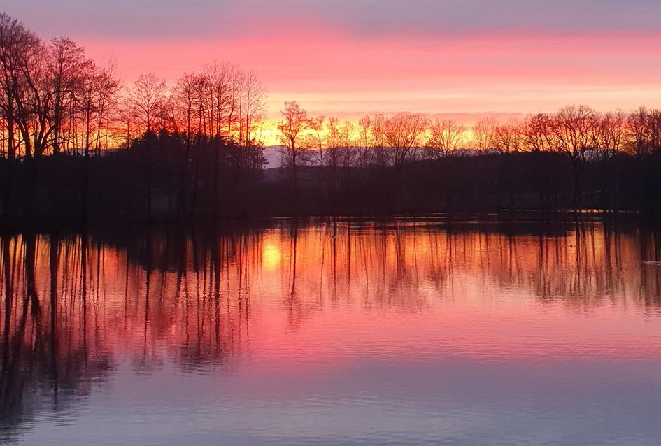 Sonnenuntergang über dem Teich